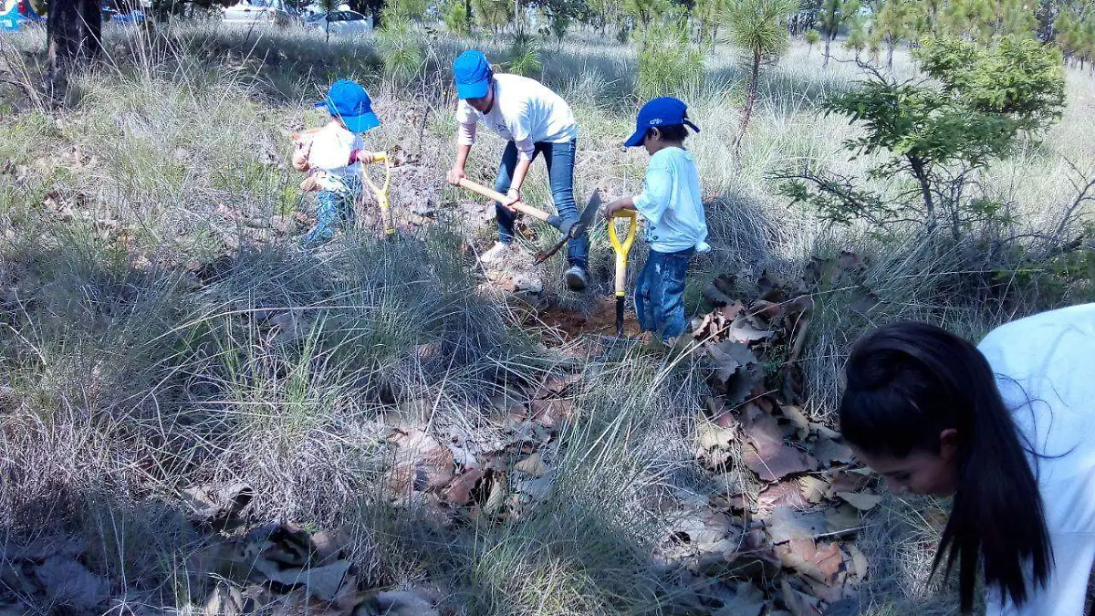 Reforestacion bosque de la primavera (7)